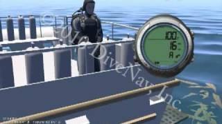 Oceanic Geo 2.0 노데코 다이브