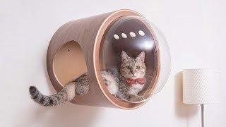 Amazing Pet Gadgets You Must Have