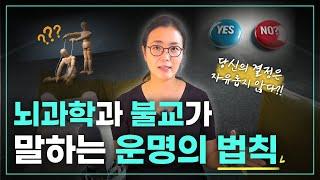 뇌과학과 자유의지 당신의 결정은 이미 정해져 있다?