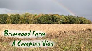 A Special Vlog - Camping and Discovering Wildlife on Brimwood Farm