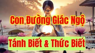 Con đường Giác Ngộ: Tánh Biết & Thức Biết | Quán Trà Đời | Nhân Quả Phật Pháp