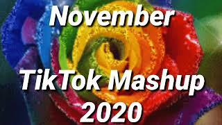 TikTok Mashup 2020 (not clean)