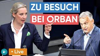 LIVE: Gemeinsamer Auftritt - Alice Weidel zu Gast bei Orbán