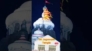 puri to Jagannath mandir #shorts #ytshorts #ytshortsindia #youtubeshorts #youtubechannel #traveller