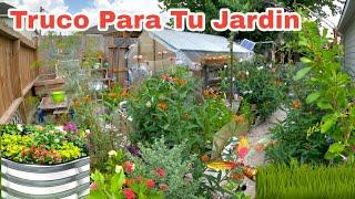 Truco Para Un Jardin Hermoso Y Organizado Con Poco Espacio!@thenextgardener#jardineria #gardening