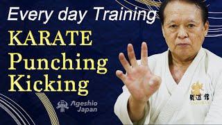 5 min Karate Training | Punching and Kicking | Ageshio Japan