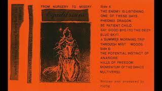 FMTN - Summer Morning Trip Through Misty Woods (UK Experimental 1990)