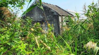 PEOPLE FARMER JOJFUL We Clean Up The Grass House Is Overgrown Like a Farm Forest Comes Back To Life