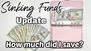 SINKING FUNDS | Cash Envelope System | Budget for Beginners | Counting Sinking Funds | MONETS MONEY