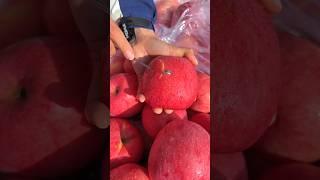 These amazing fruits are so sweet and tasty| #shortvideo #fruitlife