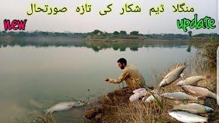 Best Fishing Videos | Mangla Dam Fishing New Update | Fish Catching Live hook fishing Techniques