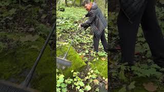 Bedzin Jewish Cemetery Podzamcze Street - October 2, 2022 - 1st day clean up volunteer