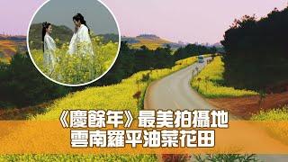 《慶餘年》最美拍攝地 雲南羅平油菜花田