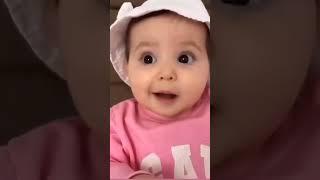 funny monkey video and cute baby videos  | funny baby | laughing #funnymonkey #funnybaby #cutebaby