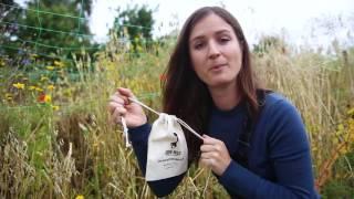 How to save your wild flower seeds with Hannah Grows