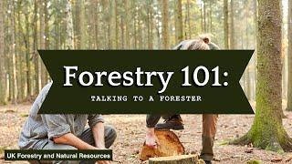 Forestry 101: Talking to a Forester