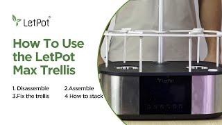 How To Use the LetPot Max Trellis Stand