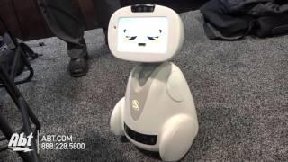 Blue Frog Robotics Buddy Personal Robot - Abt CES 2016