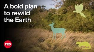 A Bold Plan to Rewild the Earth — at Massive Scale | Kristine McDivitt Tompkins | TED