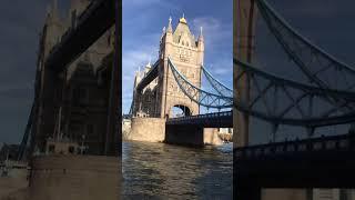 Tower bridge in London from ship pov #shortsfeed #youtubeshort #brilliant #london Beauty of London