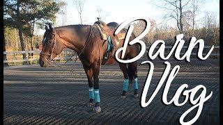 A Barn Vlog | EquestrianBliss