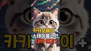 스테이블코인 타는 카카오페이?! 고양이도 배워보자냥! 냥스탁주식종목공부