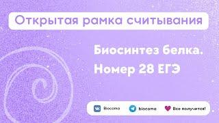 Открытая рамка считывания | Новый тип 28 заданий на Биосинтез Белка | ЕГЭ по Биологии