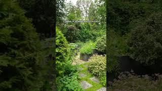 Реальность студентов нашей школы ландшафтного дизайна ВИД #ландшафт #nature #дизайн #вид #обучение