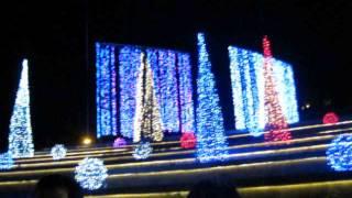 Christmas Lights and Sound @ Festival Mall River Park (2)