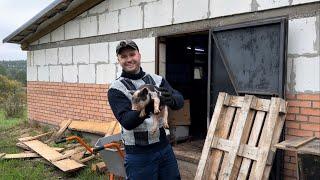 ДИКИЙ КАБАН РОНАЛЬДО. ПЕРЕЕХАЛИ из ГОРОДА в ЗАБРОШЕННУЮ ДЕРЕВНЮ.