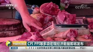 [中国财经报道]CPI PPI等多项宏观经济数据即将发布| CCTV财经