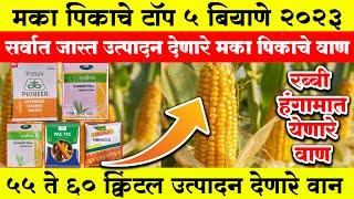 टॉप मका बियाणे एकरी घ्या 60 क्विटल उत्पन्न / Maka Biyane / Top 5 corn seeds / Top maize Hybrid seeds