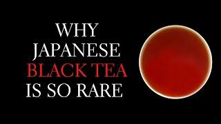 Why is Japanese Black Tea so Rare? Everything you Need to Know about Japanese Black Tea