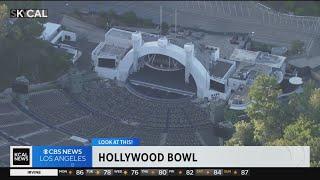 Hollywood Bowl | Look At This!