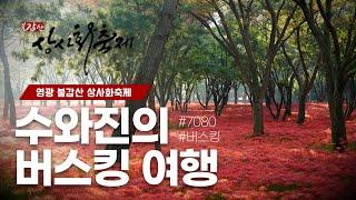 [수와진의 버스킹여행] 영광 불갑산 상사화축제 (24.9.14)함께 즐겨보는 귀성길 음악방송!