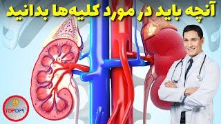 کلیه،پالایشگاه بدن انسان:آنچه باید در مورد کلیه ها بدانید|دانستنی کلیه