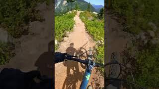 I loved all the rocky sections on this trail! Trying to keep it smooth through the chunk