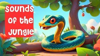 Sounds of the Jungle | Song for kids | SiSi Kids TV