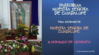 Misa solemne de Nuestra Señora de Guadalupe, III Domingo de Adviento, 12 de diciembre 2021