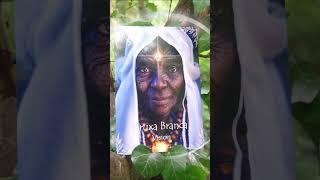 An Oracle deck made by 54 people and a dog! Now on sale. #OracleDeck #oraclecards