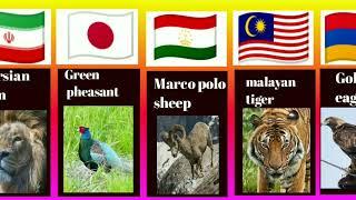 National Animals Of Asian Countries || Info Data