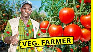 Why i left  UK to invest in Gas  &  farming in The Gambia