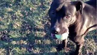 Aliza Playing Ball