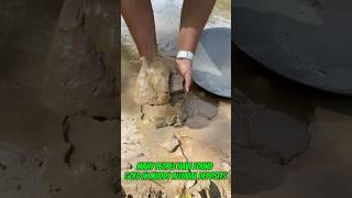 Traditional #goldmining proves the rumor about muddy alluvial soil #goldrush #goldpanning