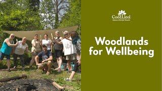 Woodlands for Wellbeing | Coed Lleol (Small Woods Wales)