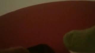 Mr quack episode 8 season 1