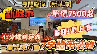 新政策大亞灣【新華聯】單價7字頭️帶裝修️三甲醫院對面45分鐘到蓮塘、羅湖