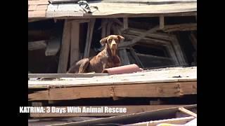 KATRINA: 3 DAYS WITH ANIMAL RESCUE