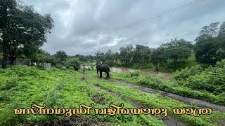 A forest ride through masinagudi bandipur forest