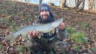 Grudniowy spining z DROP-SHOT & CZEBURASZKA//  2024 @Bratkobaits #fishing #fish #rzeka